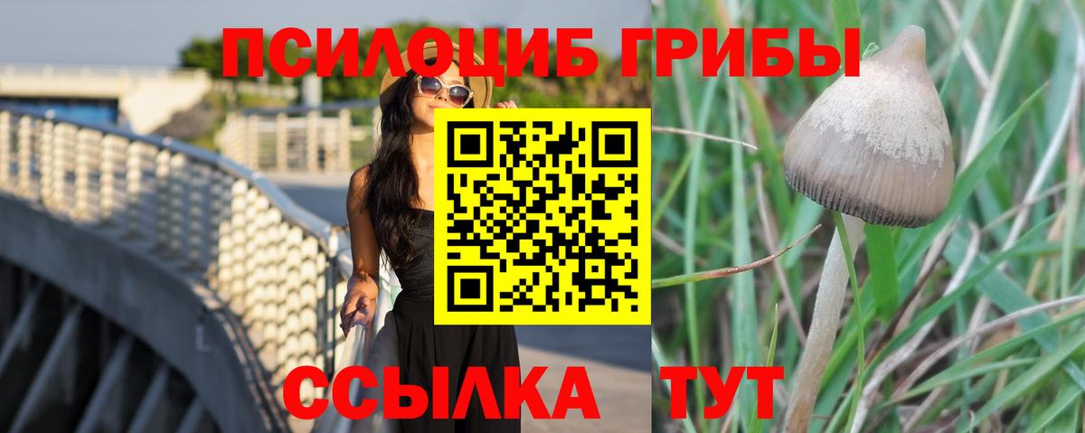 где можно купить наркотик  Вход с VPN  Владикавказ  Галлюциногенные грибы Psilocybine cubensis 
