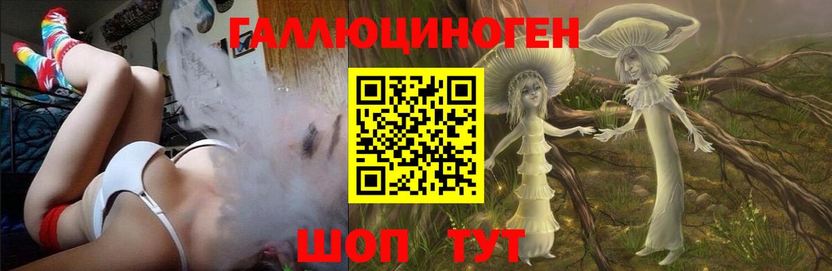 Псилоцибиновые грибы MAGIC MUSHROOMS Владикавказ